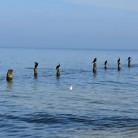 Apartament Inselparadies Ahlbeck Marianne *